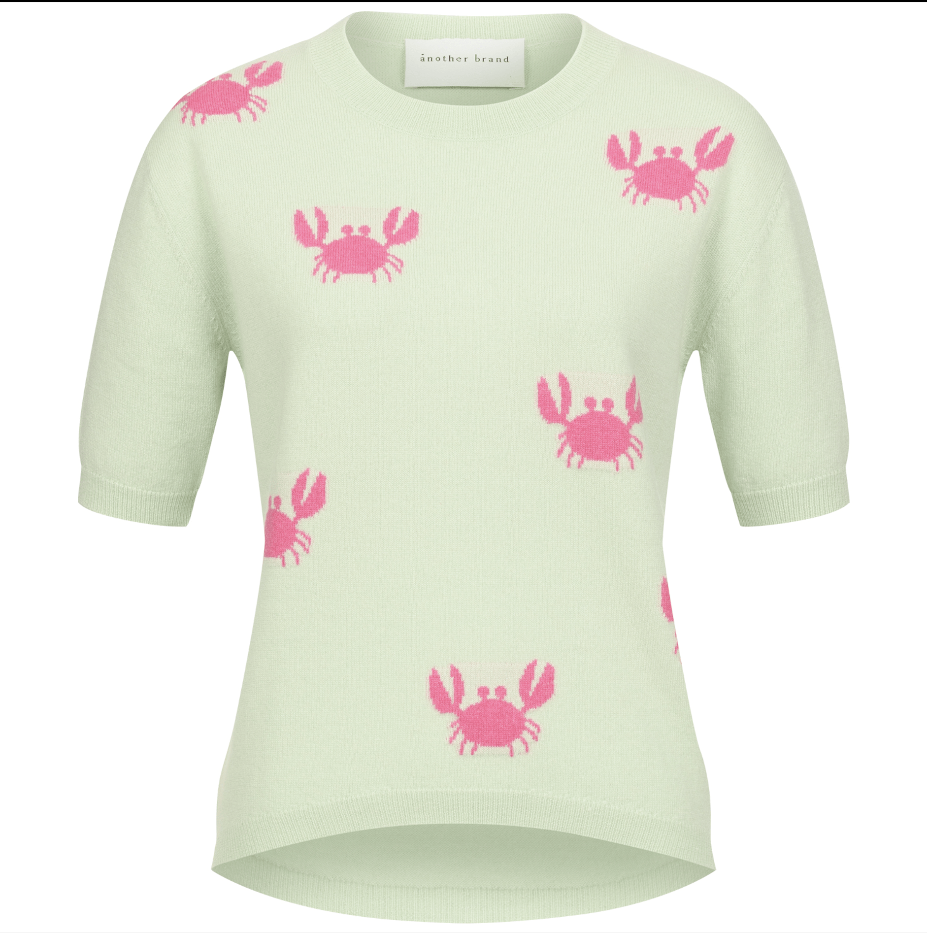 ANOTHER BRAND Pullover in Mintgrün mit Krebsen